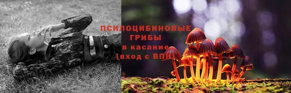 дживик Балабаново