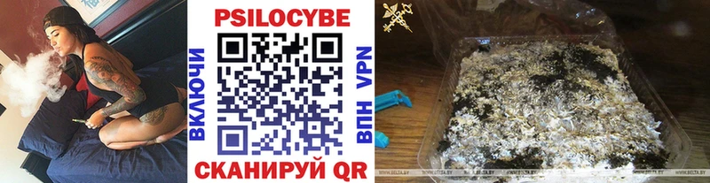 Галлюциногенные грибы Cubensis Кущёвская